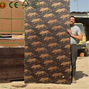 Quality Phenolic Hot Press Finger Jointed Core Black Phenolic Plywood wholesale