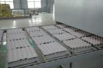 Paper Fruit Tray Production Line / Fruit Tray Making Machine