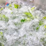 85KGIntelligent single cylinder vegetable washing machine Fruit chain cleaning