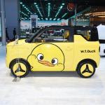 GEELY Panda Chinese Mini Electric Car EV Top Speed 100km/H For Urban Transportat