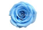 Dehydrated Eternal Long Lasting Roses In A Box Non-Toxic