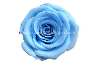 Quality Dehydrated Eternal Long Lasting Roses In A Box Non-Toxic wholesale