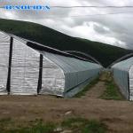 Light Deprivation Greenhouse 10m*100m For Hydroponic Hemp Growing