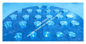 Quality FLOAT DISC FOR AFT BALLAST AIR VENT HEAD NO.533HFB-250A Material - Stainless Steel wholesale