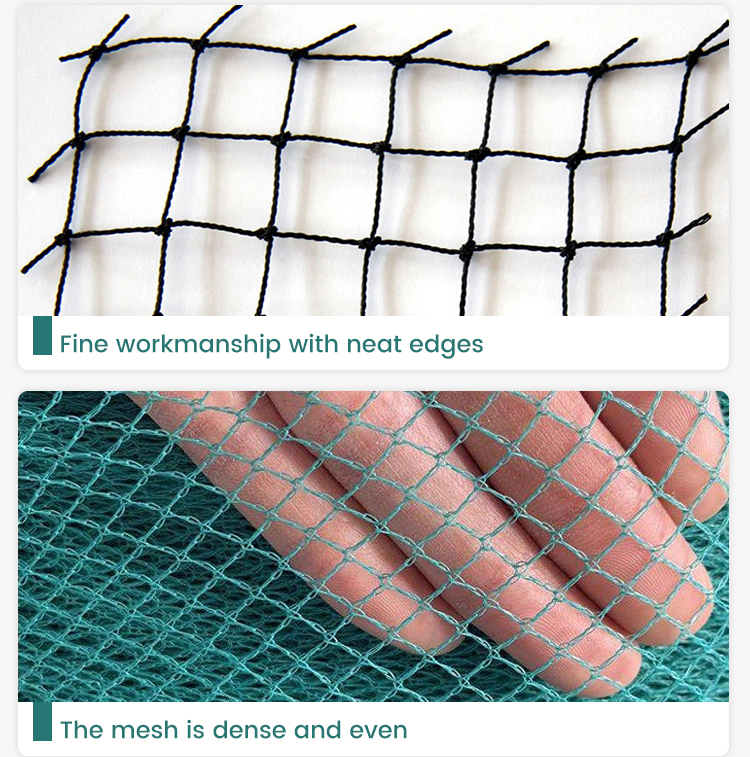 factory price pe farm plastic nets garden orchard anti bird net