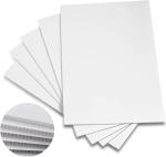 PP Corrugated Plastic Sheet Corflute Board Foldable Lightweight Customized