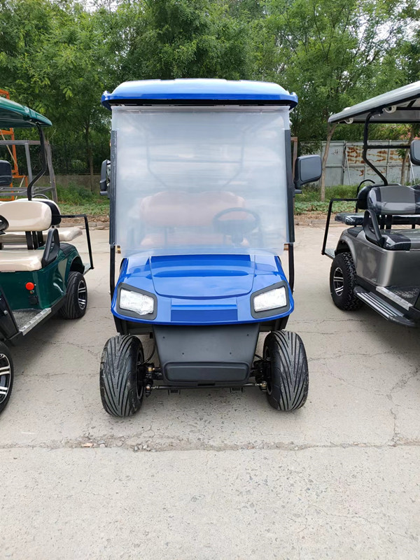 Left Hand Drive Electric Golf Buggy Lithium Battery Operated Golf Carts 2-10 Seats