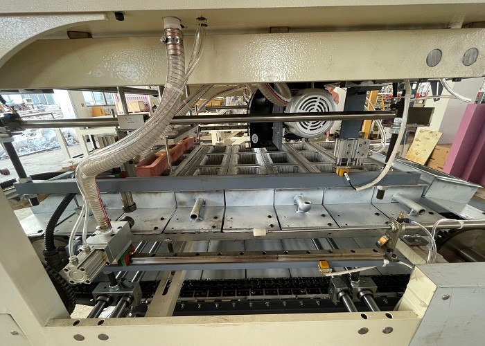 Pvc Blister Forming Machine Biodegradable Tableware Production Line