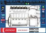 612601080581 bh6p120 fuel injection pump for loader WEICHAI DEUTZ WD615 WD10