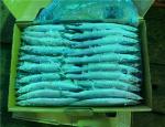 High Protein Block Quick Frozen #3 Pacific Saury Fish
