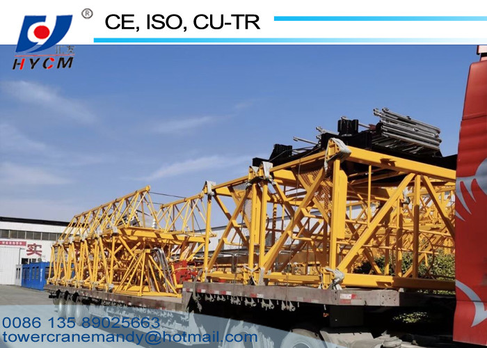 50m Tower Crane Boom Length 380V/60Hz Power Supply Luffing Jib Crane with Free Catalogs