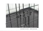 Stainless Steel Foldable Pet Cage Collapsible Metal Pet Crate With Removable