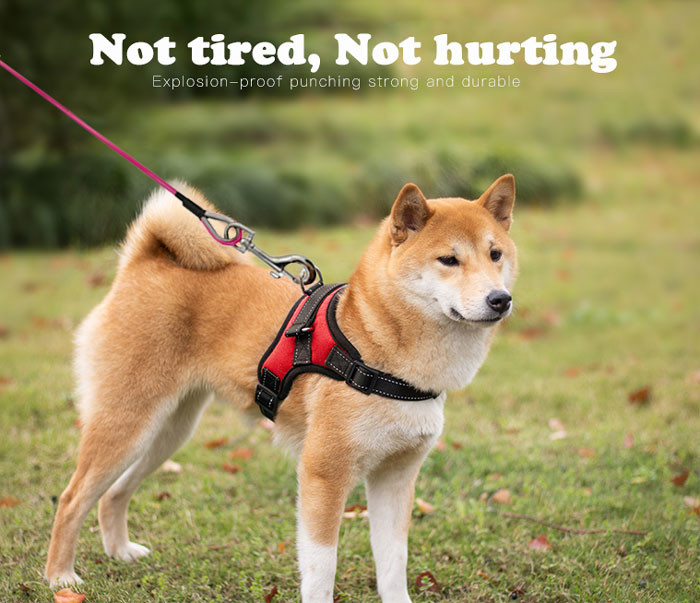 Safety Anti Bite Pet Tie Out Cable , Colorful Drawstring Heavy Duty Dog Cable