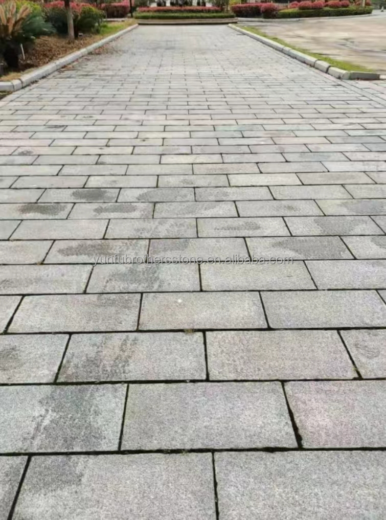 Chinese Granite Luxury Outdoor White Granite Cut-to-Size Flamed Slabs for Floors Stairs