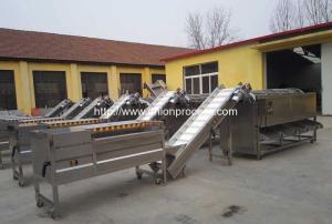 Quality Automatic Onion Water Washing and Grader Line wholesale