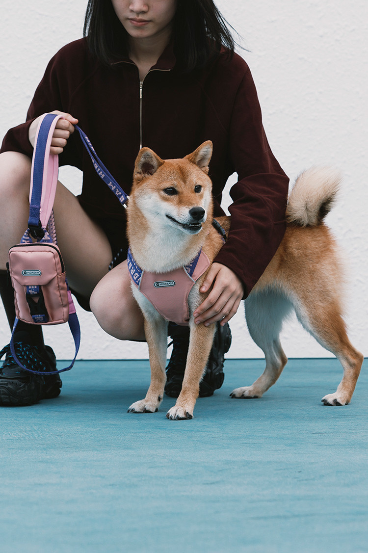 Tactical No Pull Dog Walking Harness Front Clip Reflective Outdoor Training