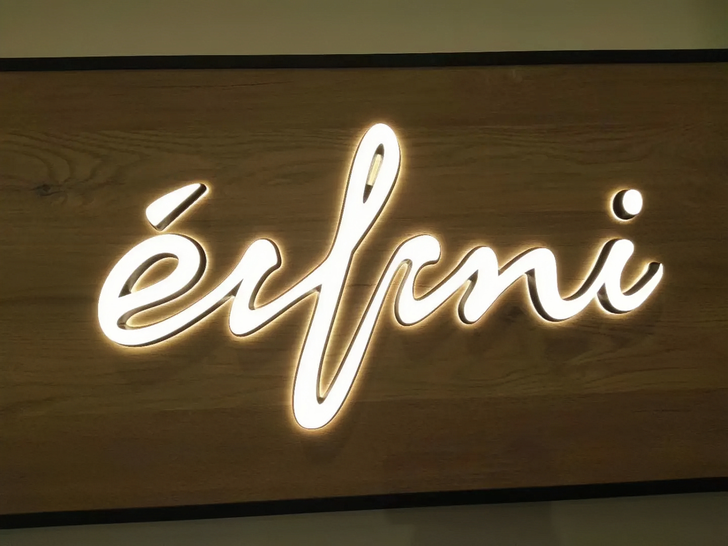 LED Acrylic Fabricated 3D Illuminated Shop Front Dimensional Letters