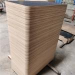 Birch Core Film Faced Plywood