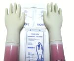 Waterproof Disposable PVC Gloves For Medical Treatment / Food Processing