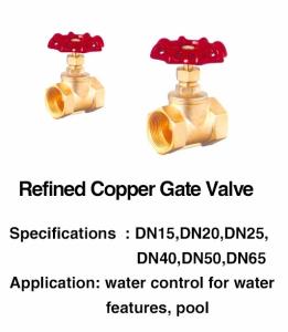 Quality SGS Swimming Pool Fountain Accessories 1 Inch Brass Gate Valve wholesale