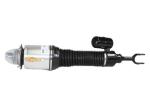 OEM Spring Volkswagen Struts Bentley Shock Absorbers 3W0616039D