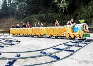 Quality 2KW Power Train Amusement Ride 1 Train Head 3 Carriages Thick Material wholesale