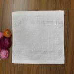 Airplane 30x30cm Disposable Cotton Towels