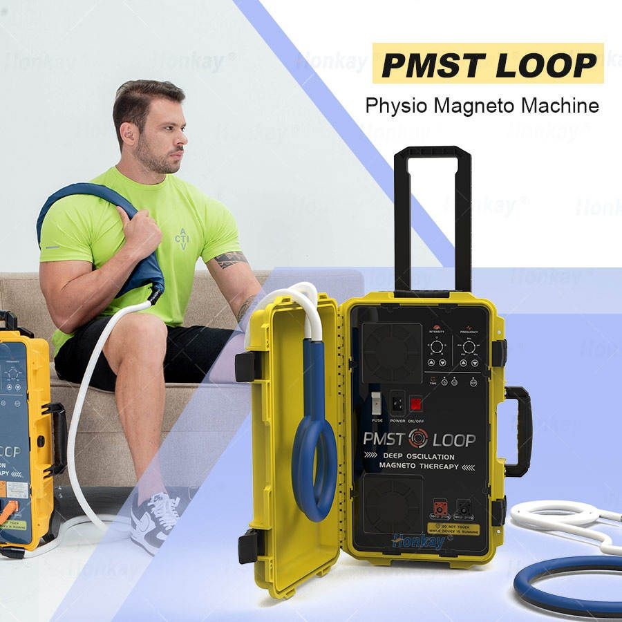 Pmst Loop Pemf Therapy Machine for Human Pain Relief Animals Health Care