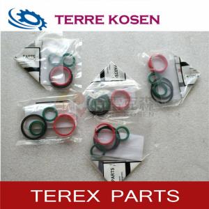 Quality TEREX 15266099 Repair kit for terex tr100 truck parts wholesale