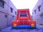 Fun Double Inflatable Slide (CYSL-56)