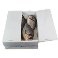 Okra Folding PP Carton Box Correx Storage Corrugated PP Box