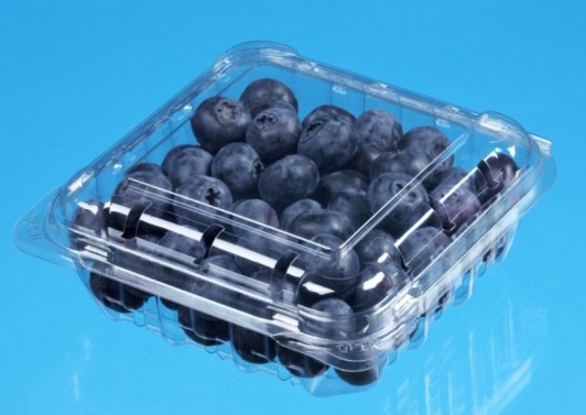 Plastic Folding Box for Fruits