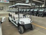 60V Battery Powered Lithium Golf Cart for 6 Passengers