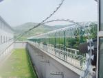 Razor Barbed Wire