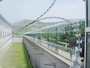 Quality Razor Barbed Wire wholesale