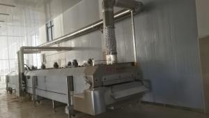 Quality DJL Liquid Nitrogen Machine Tunnel Freezer Products Freezing For Seafood Shrimp Meat wholesale
