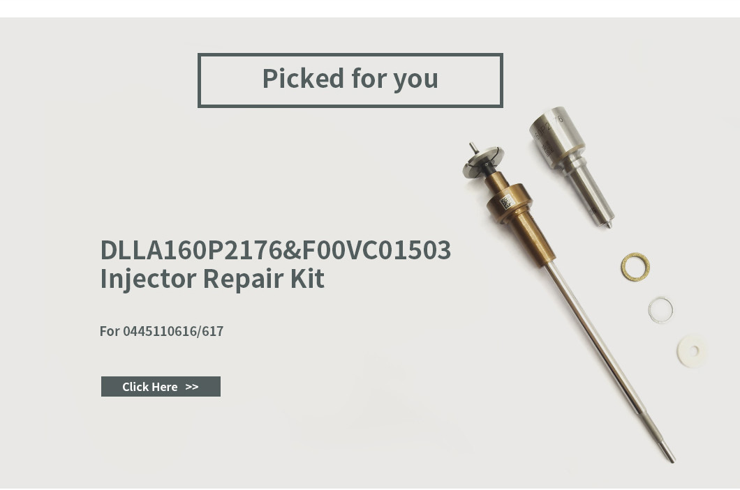 DLLA160P2176 Bosch Injector Nozzle-Φ3.5 Series For Common Rail Injectors 0445110617