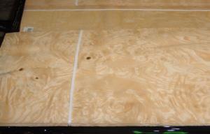 Quality Yellow Ash Burl Wood Veneer For Furniture , 0.5 mm Thickness wholesale