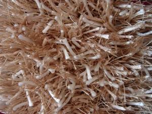 Quality Malai dori Polyester Mixed Polyester Silk Shaggy Carpet Beige wholesale