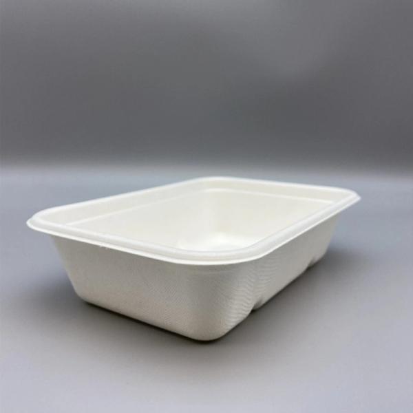 Harmless Sustainable Sugarcane Bagasse Box Take Out Containers Kitchenware