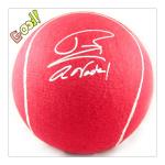 8‘’ Inflatable Tennis Ball