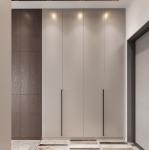 Modular Wooden Internal Storage Wardrobe Already Assembled Plywood