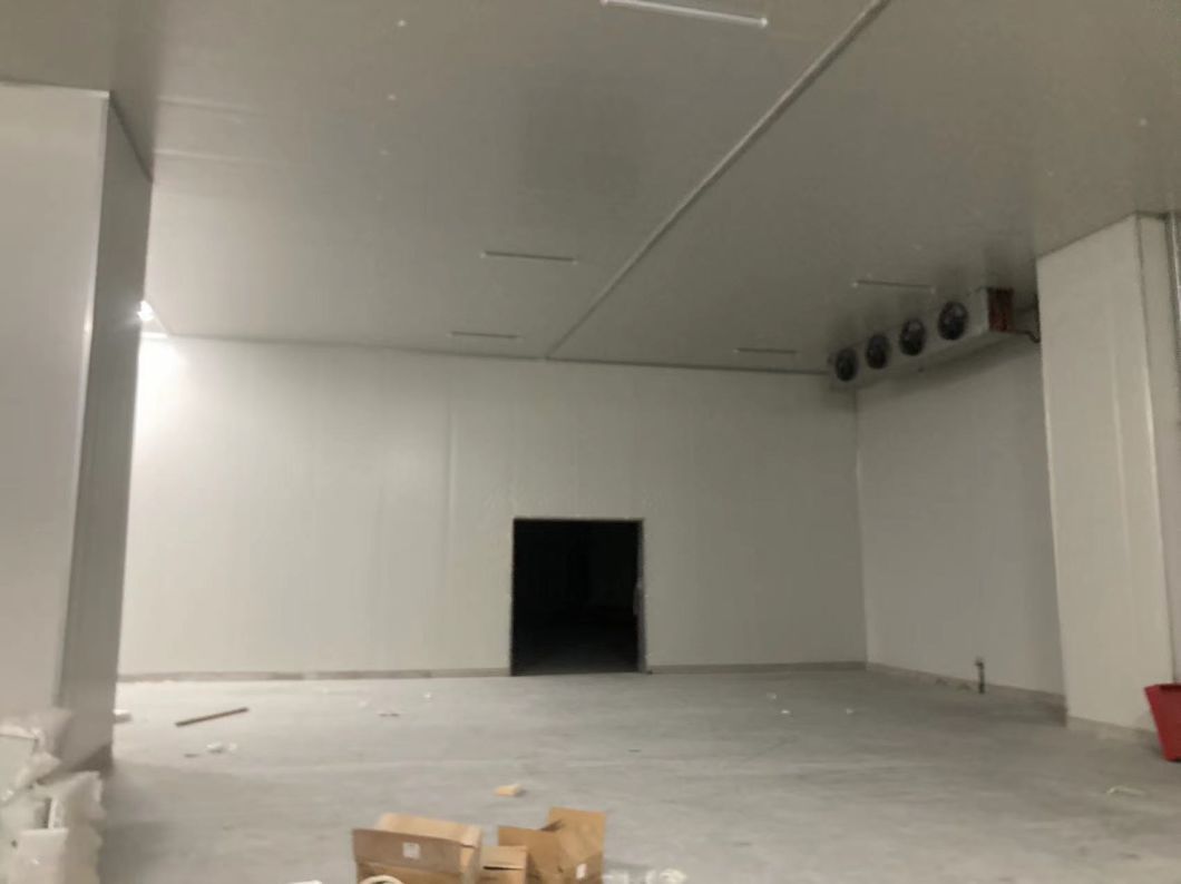 Polyurethane Sandwich Panel for Cold Storage Chiller Cooler Room