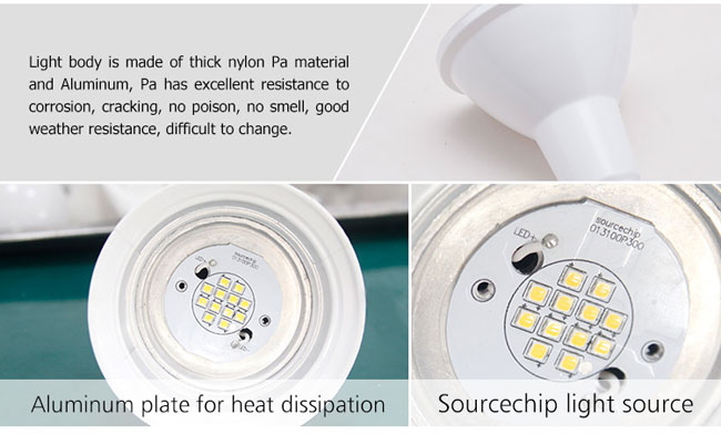SMD3030 white par30 12W LED par light China manufacturer