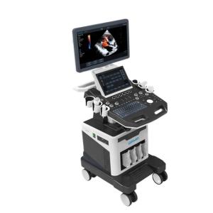 Quality 4D Medical Ultrasound Machine Elastography Trolley Ultrasonic Scanning Machine wholesale