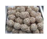 WEG 220V 50Hz PLC Peanut Candy Bar Making Machine