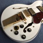 Hollow body jazz electric guitar, Double F holes,Ebony Fingerboard,Tremolo