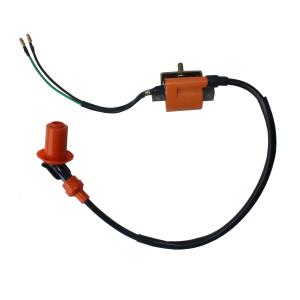 Quality 125cc ATV Four Wheelers Parts Ignition Coil Lightweight High Performance wholesale