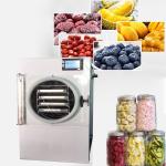 Small Vacuum Freeze Dryer SUS304 Electric Heating Home Use