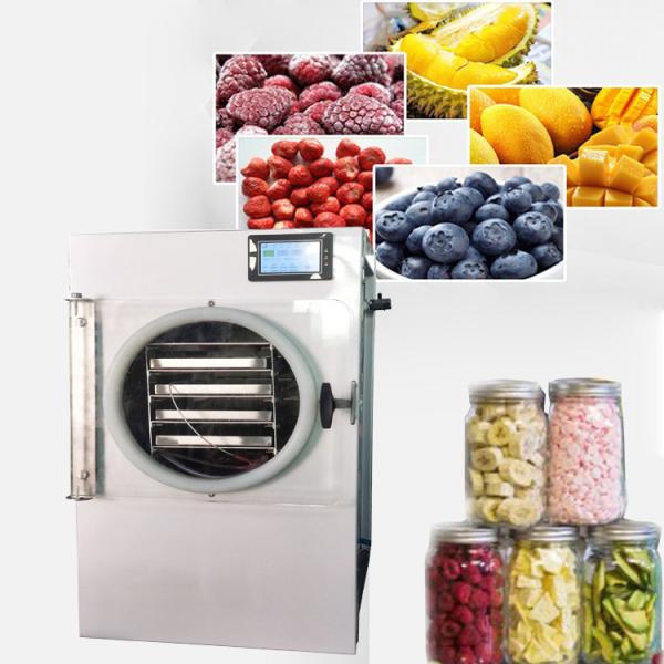 4kg Per Batch Mini Vacuum Freeze Dryer For Pet Food Dog Treats